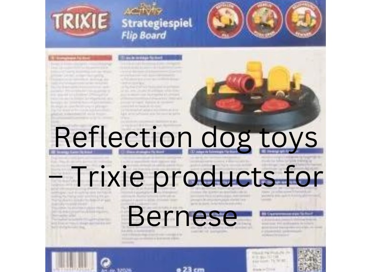 7 Best Toys for Bernese Mountain Dog Puppy in 2023 Animal Pedias