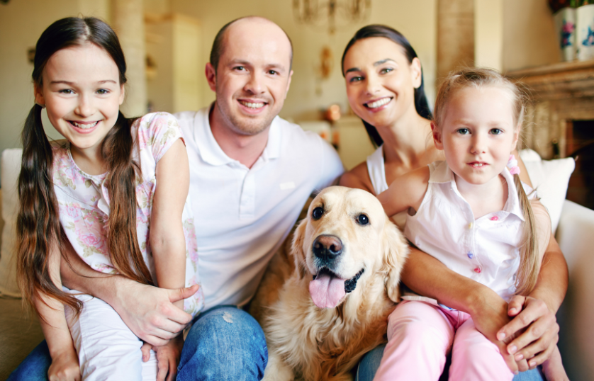 Are-Labrador-retrievers-Good-Family-Dogs
