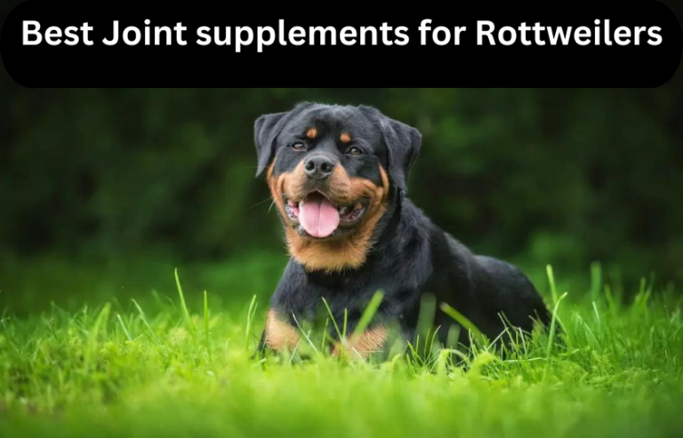 Best Joint supplements for Rottweilers in 2024