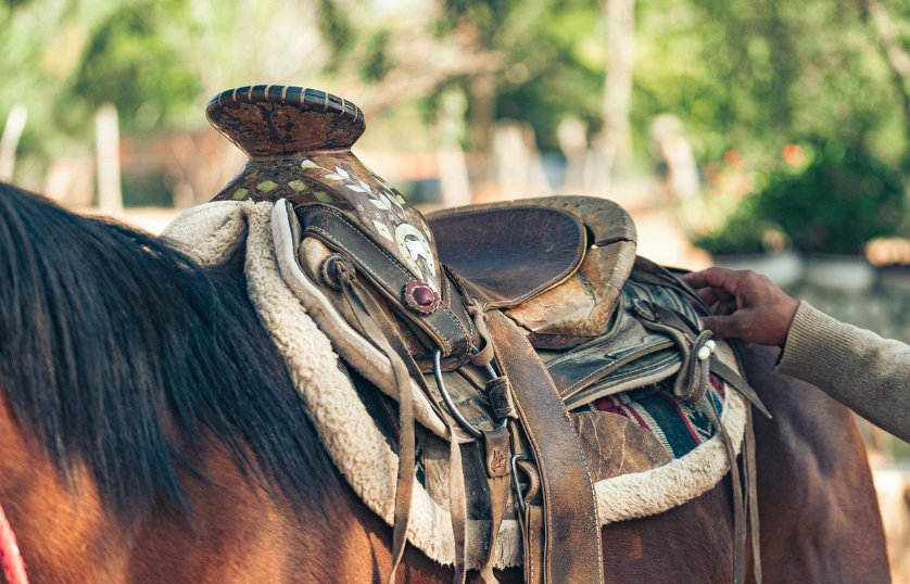 How-to-Remove-the-Saddle-from-Horse